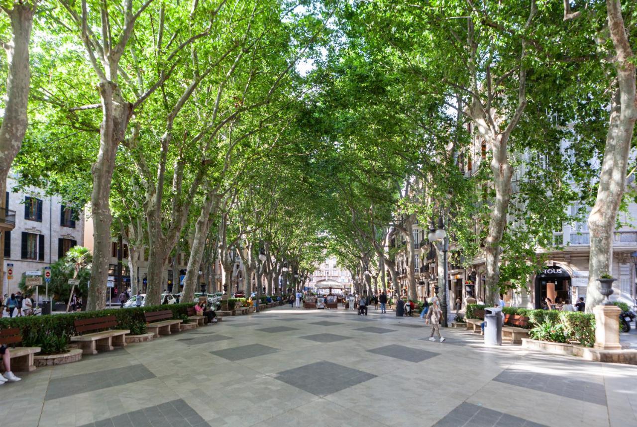 Nivia Born Boutique Hotel Palma de Mallorca Bagian luar foto